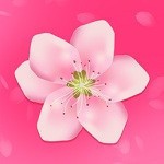 yg11.aqq一个致敬韩寒app