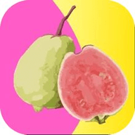 蜜桃视频安装包免费下载