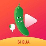 992tv影视app下载入口