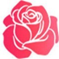 拔萝卜高清视频下载观看