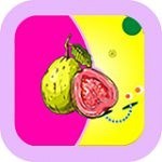 花蝴蝶视频无广告版
