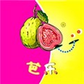 番茄视频无限次免费版